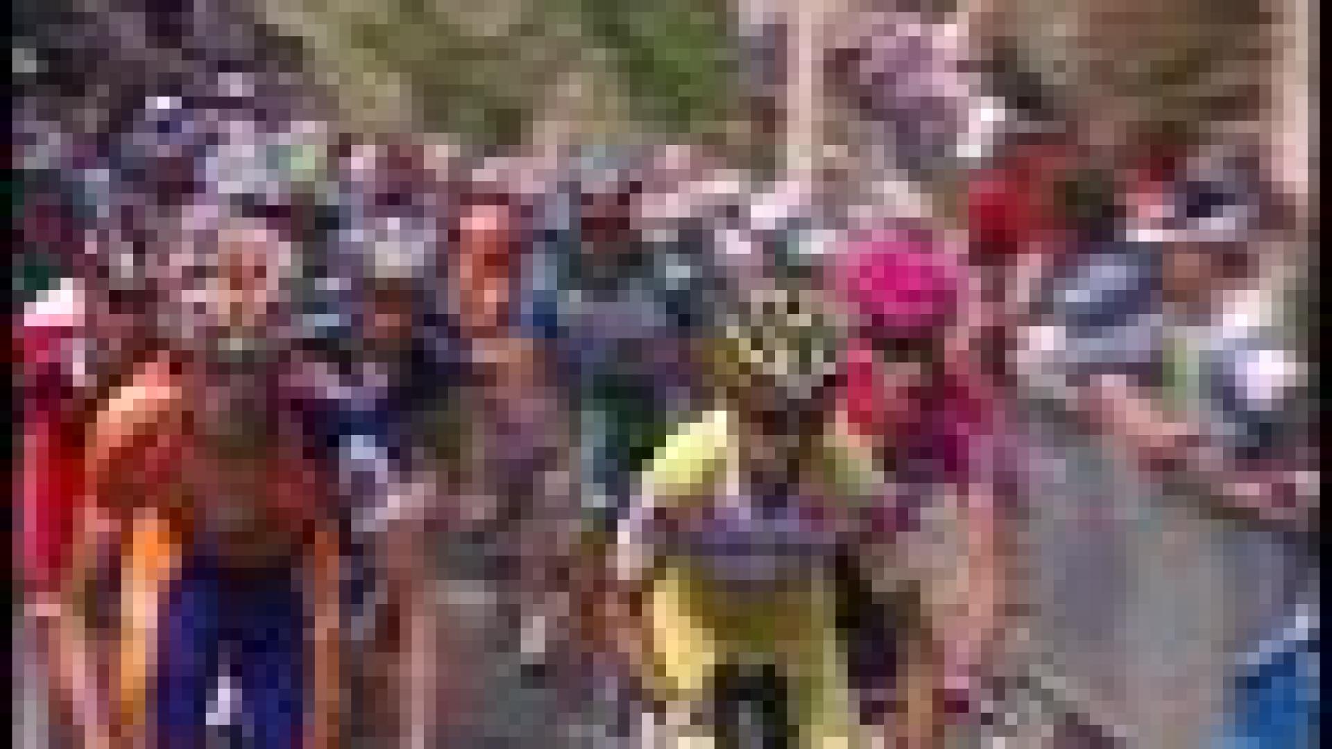 Nouveau classement UCI pour Liège-Bastogne-Liège